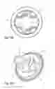 Fig. 07 - Recoil starter