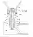 Fig. 09 - ADAPTERS FOR USE WITH AN ANESTHETIC VAPORIZER