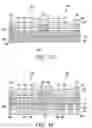 Fig. 04 - Thermoelectric device