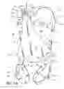 Fig. 02 - Lightweight controlled descent system with an integral reserve suspension relief strap (RSRS)