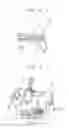 Fig. 08 - Elastic pressing unit and molded case circuit breaker having the same