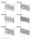 Fig. 09 - Electromagnetically-countered microwave heating systems and methods