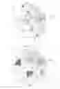 Fig. 02 - Paper sheet storing and feeding unit