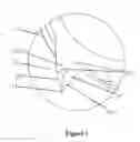 Fig. 08 - New-type thin shredder blade having blade points without steps, blade sets and manufacturing method thereof