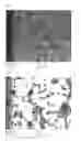 Fig. 02 - Polishing composition for semiconductor wafer