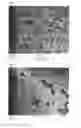 Fig. 04 - Polishing composition for semiconductor wafer