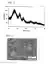 Fig. 04 - Porous Silicon-Containing Carbon-Based Composite Material, Electrode and Battery Formed Therefrom
