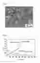 Fig. 06 - Porous Silicon-Containing Carbon-Based Composite Material, Electrode and Battery Formed Therefrom