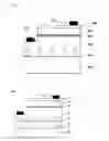 Fig. 02 - Light emitting device with air bars and method of manufacturing the same