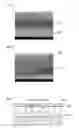 Fig. 07 - Light emitting device with air bars and method of manufacturing the same
