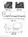 Fig. 09 - System for detecting nanoparticles using modulated surface plasmon resonance