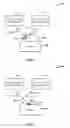 Fig. 02 - Illumination and detection architecture