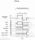 Fig. 10 - Plasma display device and method for driving the same