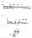 Fig. 08 - Projector, terminal, conferencing system, tree structure switching method and recording medium