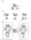 Fig. 09 - Projector, terminal, conferencing system, tree structure switching method and recording medium