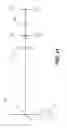 Fig. 26 - Apparatus for caries detection