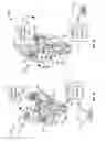 Fig. 02 - DUAL SCHEIMPFLUG SYSTEM FOR THREE-DIMENSIONAL ANALYSIS OF AN EYE
