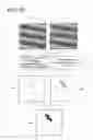 Fig. 19 - Printer gradation correction method and color patch image