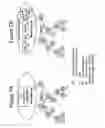 Fig. 07 - Locator resolution in communications networks
