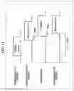 Fig. 16 - INFORMATION PROCESSING DEVICE AND METHOD