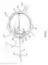 Fig. 04 - Orthovoltage radiotherapy
