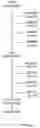 Fig. 03 - Method for analysing an interactive voice response system