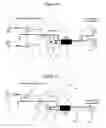 Fig. 02 - Single earphone for stereo and monaural audio devices