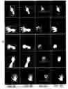 Fig. 06 - Method, apparatus and computer program product for providing hand segmentation for gesture analysis