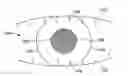 Fig. 01 - Method of Eyelash Removal for Human Iris Recognition