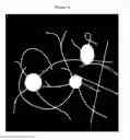 Fig. 06 - Neuronal profiling