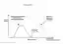 Fig. 16 - Neuronal profiling