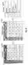 Fig. 11 - Method and apparatus for creating a pattern recognizer