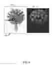 Fig. 07 - Image segmentation