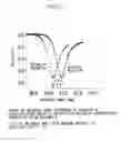 Fig. 12 - Optical waveguide mode sensor having pores
