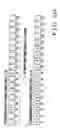 Fig. 11 - Video quality estimation apparatus, video quality estimation method, frame type determination method, and recording medium