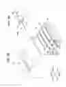 Fig. 06 - Image forming apparatus and image forming unit