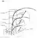 Fig. 02 - Image-forming apparatus and multiple sheet curl correcting sheet-receiving units