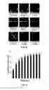 Fig. 05 - Colorimetric sensor arrays based on nanoporous pigments