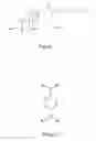 Fig. 02 - Printable hydrogels for biosensors