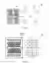 Fig. 07 - Method and system for microfluidic device and imaging thereof