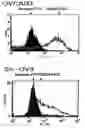 Fig. 01 - Method to inhibit cancer targeting CD24