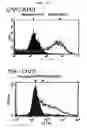 Fig. 02 - Method to inhibit cancer targeting CD24