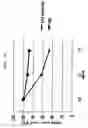 Fig. 13 - Method to inhibit cancer targeting CD24