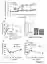Fig. 02 - Method of ameliorating symptoms of type 1-diabetes using GABA related compounds and GLP-1/exendin-4 compounds