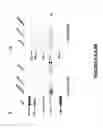 Fig. 13 - Methods and compositions for inhibition of viral replication