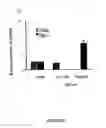 Fig. 14 - Methods and compositions for inhibition of viral replication