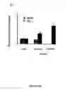 Fig. 16 - Methods and compositions for inhibition of viral replication