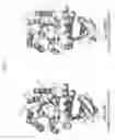 Fig. 02 - Highly functional enzyme having α-galactosidase activity