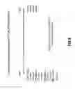 Fig. 06 - ALTERED BR-3 BINDING POLYPEPTIDES