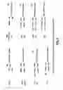 Fig. 08 - ALTERED BR-3 BINDING POLYPEPTIDES